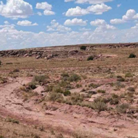 40 Acres at Big Valley Ranches in Alpine Arizona