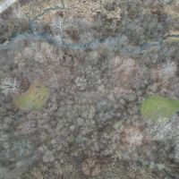 ABSOLUTE LAND AUCTION images 5