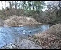 241 Acres in Kemper County in Collinsville MS images 3