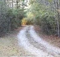 241 Acres in Kemper County in Collinsville MS images 4