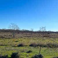35 Acres FM 770 T-11 images 4