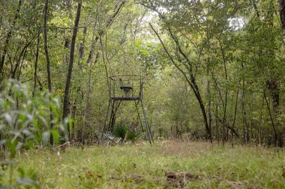 Hunting Land for Sale Just Outside of Baton Rouge featured image