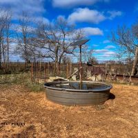 The Watt 160 images 4