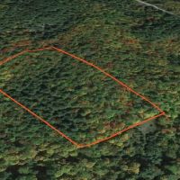 6.5 acre Secluded Camp Lot Dickinson NY images 4