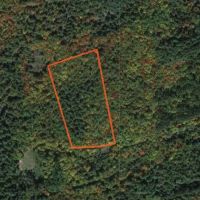 6.5 acre Secluded Camp Lot Dickinson NY images 5