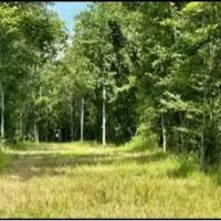 51 Acres in Simpson County in Pinola MS