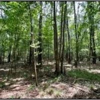 51 Acres in Simpson County in Pinola MS images 3