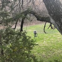 70 acres. 50 wooded heavy timber. Food plot, creek and pond. Multiple deer stands
