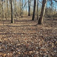 21 Acres in Leflore County MS