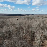 21 Acres in Leflore County MS images 2