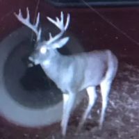 21 Acres in Leflore County MS images 3