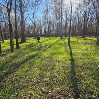 21 Acres in Leflore County MS images 4