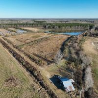 88 acres of Waterfowl Hunting and Timber Land For Sale in Bertie County NC images 2