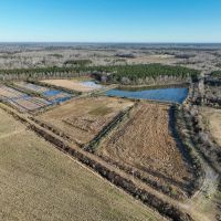 88 acres of Waterfowl Hunting and Timber Land For Sale in Bertie County NC images 3