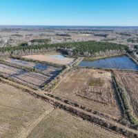 88 acres of Waterfowl Hunting and Timber Land For Sale in Bertie County NC images 4