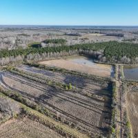 88 acres of Waterfowl Hunting and Timber Land For Sale in Bertie County NC images 5