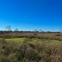 16 Acres FM 770 T-10 images 5