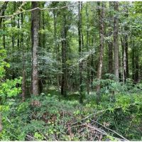 34 Acres in Leake County in Carthage MS