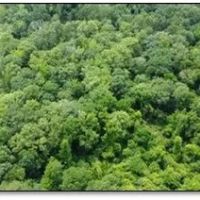34 Acres in Leake County in Carthage MS images 2