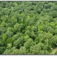 34 Acres in Leake County in Carthage MS images 3