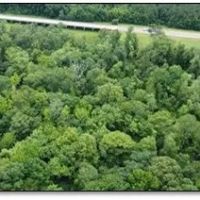 34 Acres in Leake County in Carthage MS images 4