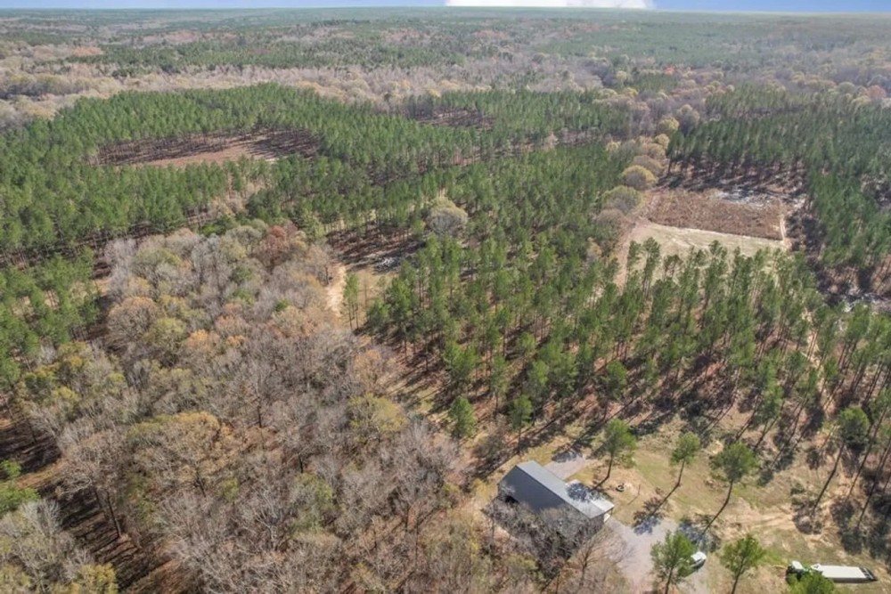 South MS River Frontage and Camp for Sale Copiah County MS featured image