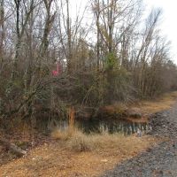 Tract B - TBD Hwy 222 Malvern AR 72104