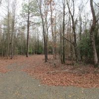 Tract B - TBD Hwy 222 Malvern AR 72104 images 2