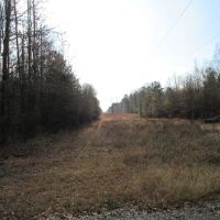 Tract B - TBD Hwy 222 Malvern AR 72104 images 3