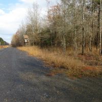 Tract B - TBD Hwy 222 Malvern AR 72104 images 4