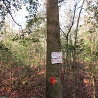 Tract B - TBD Hwy 222 Malvern AR 72104 images 5