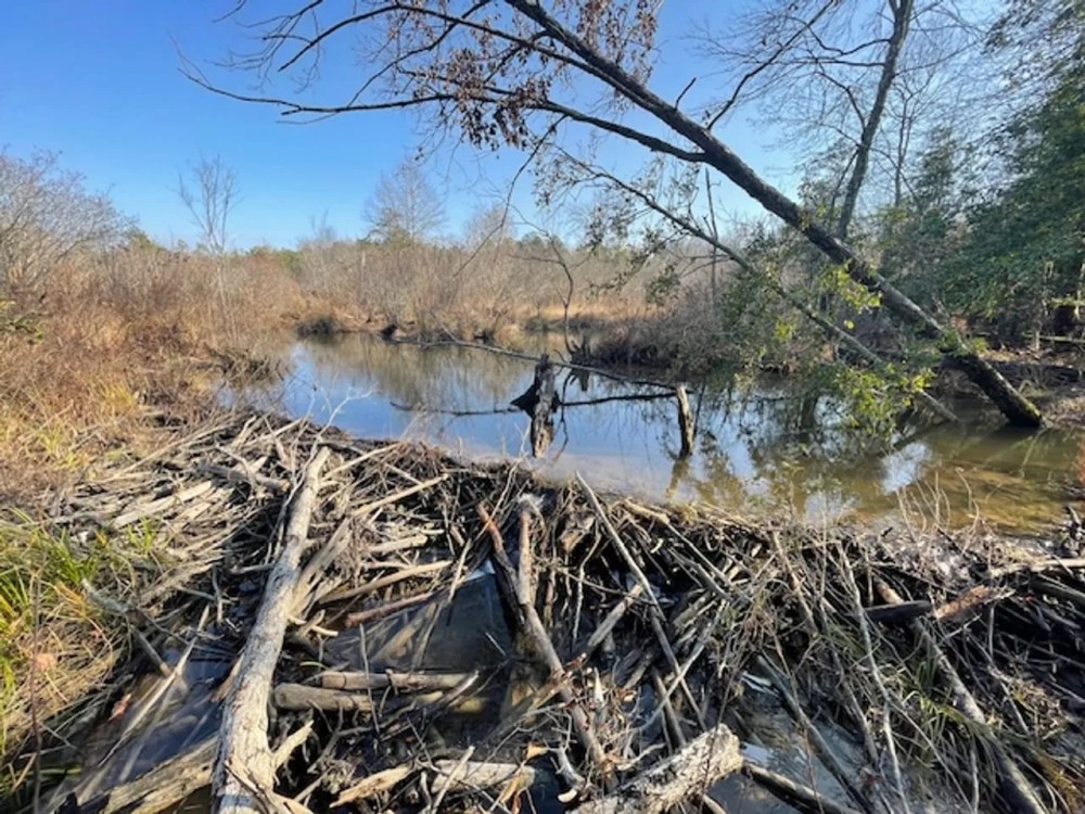 Tract A C - TBD Hwy 222 Malvern AR 72104 featured image