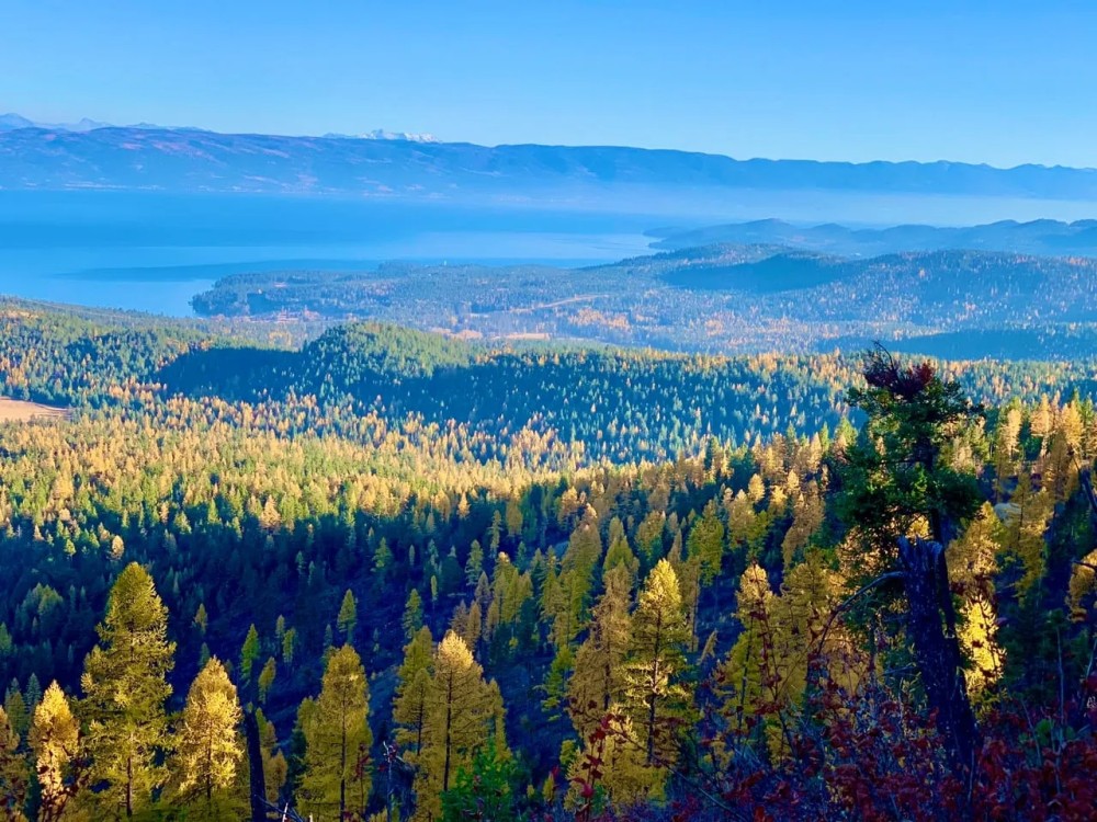 Beautiful Flathead Lake Views featured image
