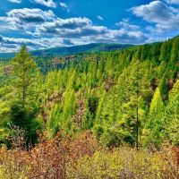 Beautiful Flathead Lake Views images 4