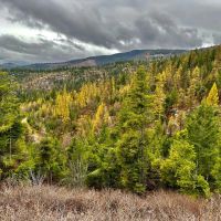 Beautiful Flathead Lake Views images 5