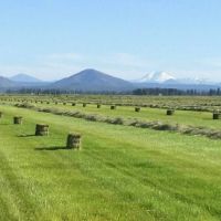 Winter Falls Ranch images 2