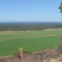 Winter Falls Ranch images 5
