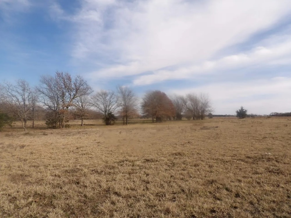 230 ACRES OF PRIME HUNTING AND RECREATIOAL PROPERTY featured image
