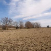 230 ACRES OF PRIME HUNTING AND RECREATIOAL PROPERTY images 1