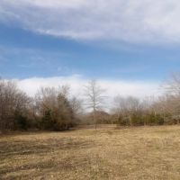 230 ACRES OF PRIME HUNTING AND RECREATIOAL PROPERTY images 2