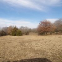 230 ACRES OF PRIME HUNTING AND RECREATIOAL PROPERTY images 3