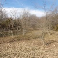 230 ACRES OF PRIME HUNTING AND RECREATIOAL PROPERTY images 5