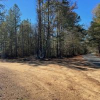 43 Acre Timber Hunting and Homesite in SW MS images 2
