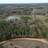 43 Acre Timber Hunting and Homesite in SW MS images 3