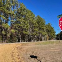 43 Acre Timber Hunting and Homesite in SW MS images 4