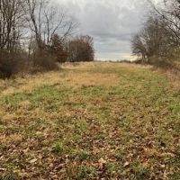 000 CR1300 County Road Brownstown IL 62418 images 5