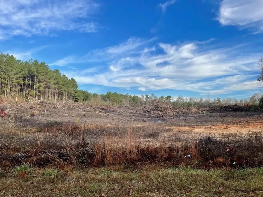 Land For Sale in Walthall County featured image