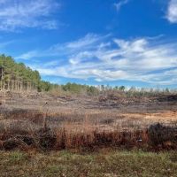 Land For Sale in Walthall County