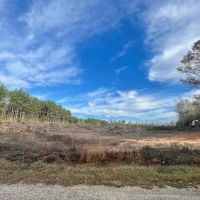 Land For Sale in Walthall County images 2