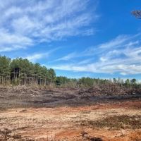 Land For Sale in Walthall County images 3